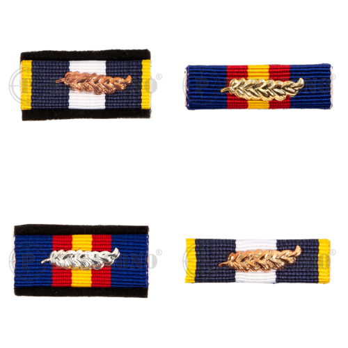 Διεμβολές