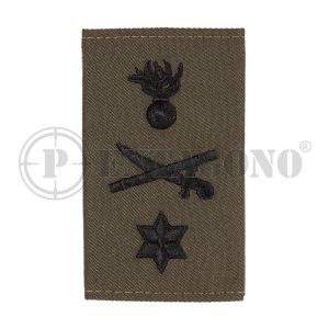 Επωμίδες Ταξίαρχου